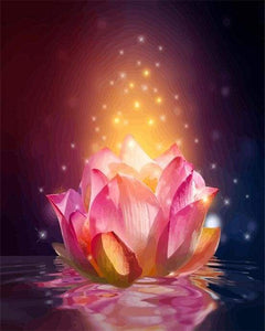paint by numbers | Light Floating Lotus | advanced flowers | FiguredArt