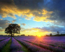 Load image into Gallery viewer, paint by numbers | Lilac Field And Sunset | advanced landscapes | FiguredArt