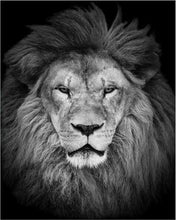 Load image into Gallery viewer, paint by numbers | Lions Head | advanced animals lions | FiguredArt
