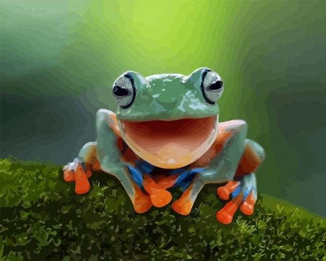 paint by numbers | Little Frog | animals frogs intermediate | FiguredArt