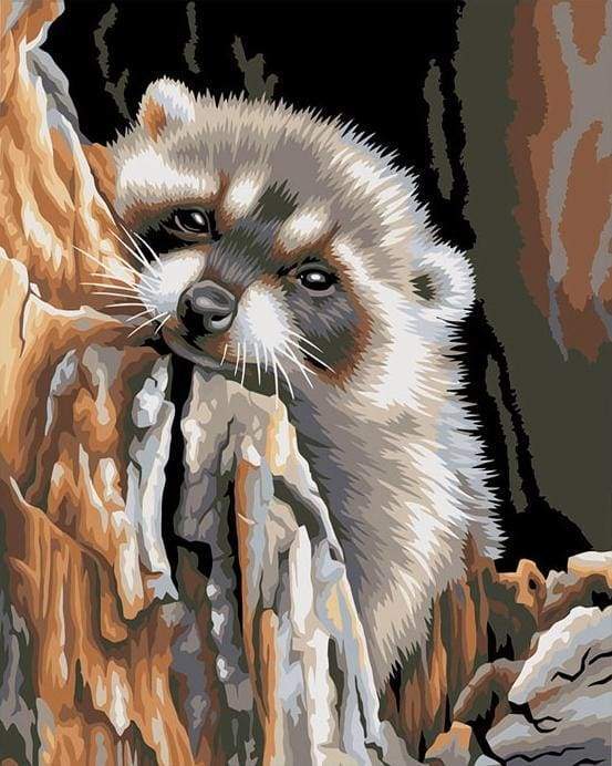 paint by numbers | Little Raccoon | animals easy raccoons | FiguredArt