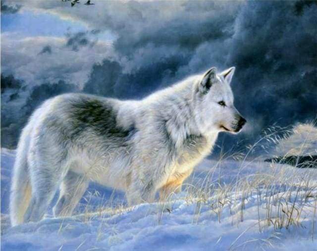 paint by numbers | Lone Wolf in the Snow | advanced animals wolves | FiguredArt