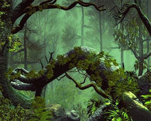 Load image into Gallery viewer, paint by numbers | Lost in the Forest | advanced forest landscapes new arrivals | FiguredArt