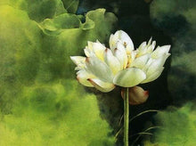 Load image into Gallery viewer, paint by numbers | Lotus Aroma | advanced flowers | FiguredArt