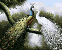Load image into Gallery viewer, paint by numbers | Loving Peacocks | animals intermediate peacocks | FiguredArt
