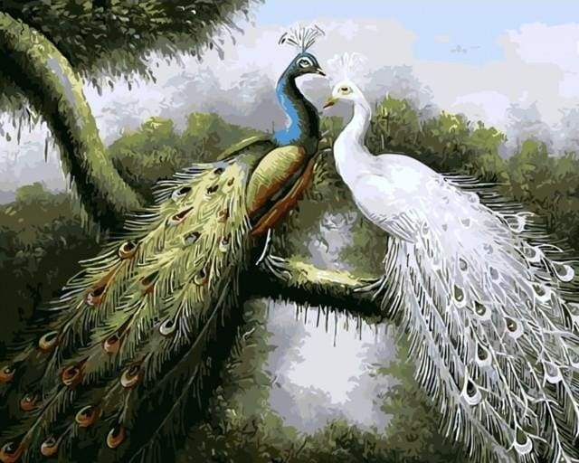 paint by numbers | Loving Peacocks | animals intermediate peacocks | FiguredArt
