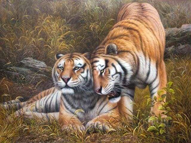 paint by numbers | Loving Tigers | advanced animals tigers | FiguredArt