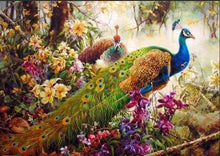 Load image into Gallery viewer, paint by numbers | Magnificent Peacock | advanced animals peacocks | FiguredArt