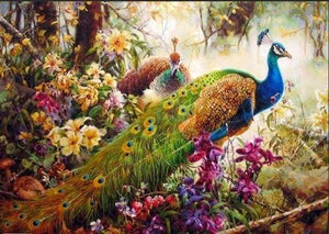 paint by numbers | Magnificent Peacock | advanced animals peacocks | FiguredArt