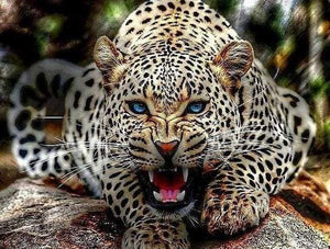 paint by numbers | Mother Leopard Roars | advanced animals leopards | FiguredArt