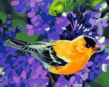Load image into Gallery viewer, paint by numbers | Orange Bird | animals birds easy | FiguredArt