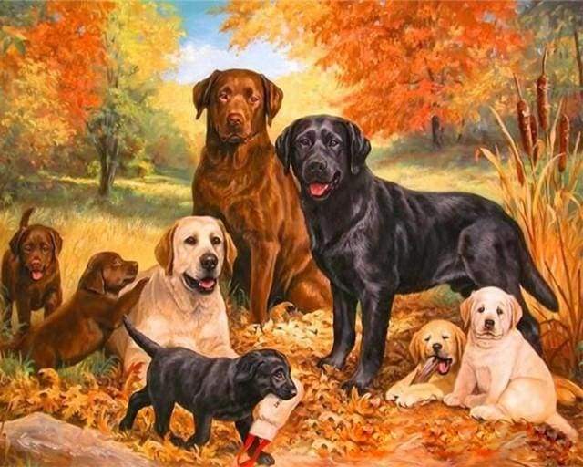 Labrador paint by store numbers