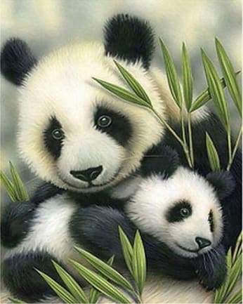 paint by numbers | Panda Couple | advanced animals pandas | FiguredArt