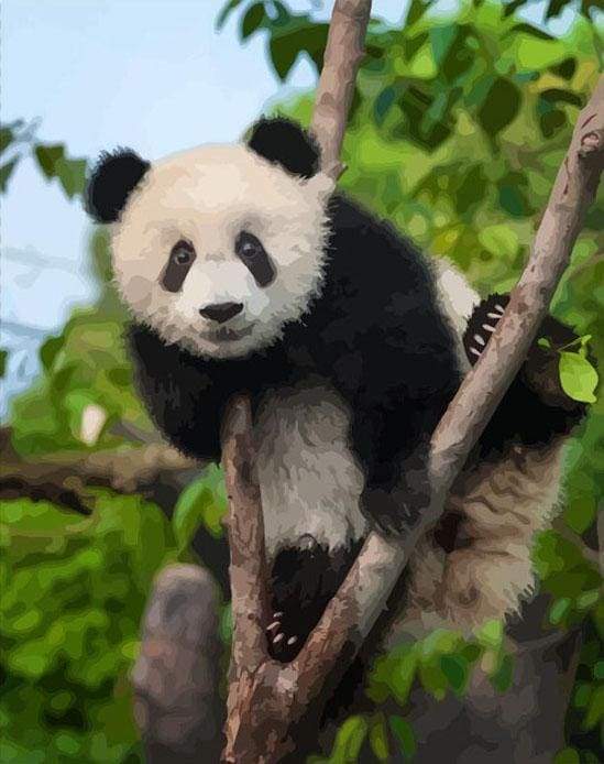 paint by numbers | Panda In Tree | animals intermediate pandas trees | FiguredArt