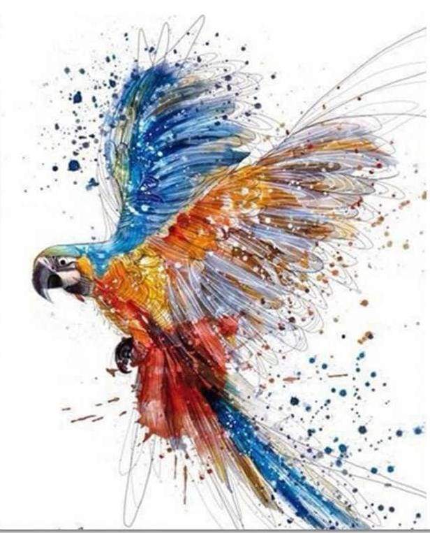 paint by numbers | Parrot in full Flight | advanced animals birds parrots | FiguredArt