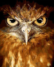 Load image into Gallery viewer, paint by numbers | Piercing eyes Hawk | animals birds intermediate owls | FiguredArt