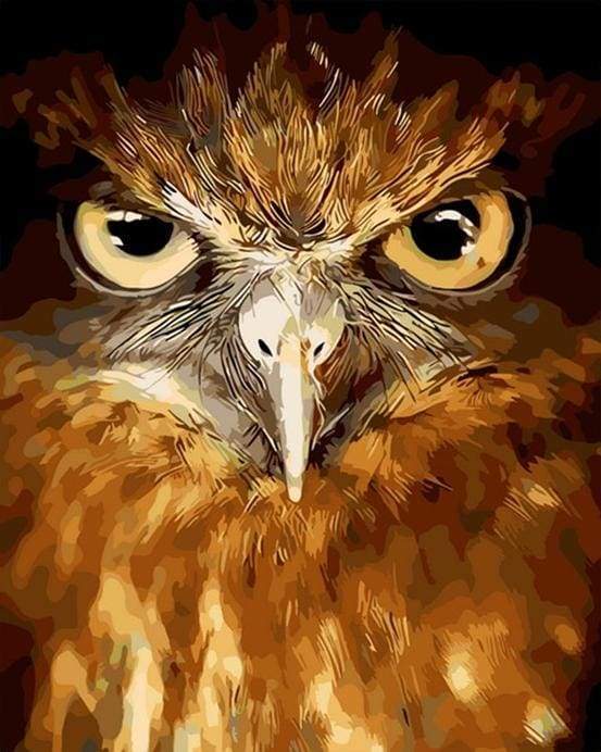 paint by numbers | Piercing eyes Hawk | animals birds intermediate owls | FiguredArt
