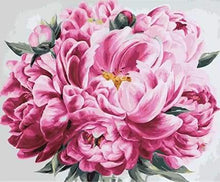 Load image into Gallery viewer, paint by numbers | Pink Peony | flowers intermediate | FiguredArt