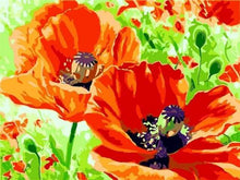 Load image into Gallery viewer, paint by numbers | Poppies | easy flowers | FiguredArt