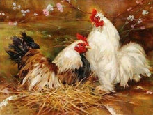 Load image into Gallery viewer, Paint by numbers | Hen and Rooster | animals advanced birds | Figured&#39;Art