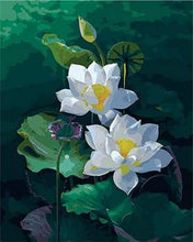 Load image into Gallery viewer, paint by numbers | Pretty Water lilies | easy flowers new arrivals | FiguredArt