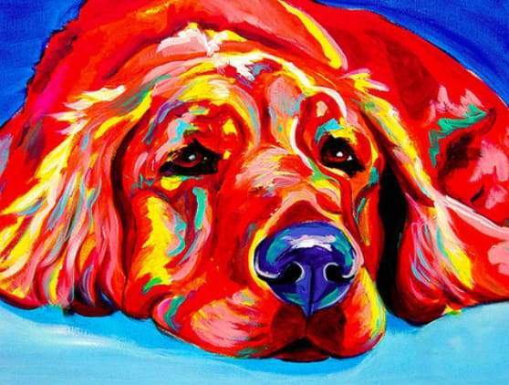 paint by numbers | Red Dog lying on the floor | animals dogs intermediate | FiguredArt