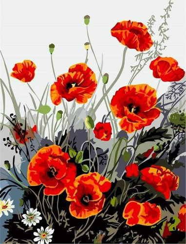 paint by numbers | Red Poppy | easy flowers | FiguredArt