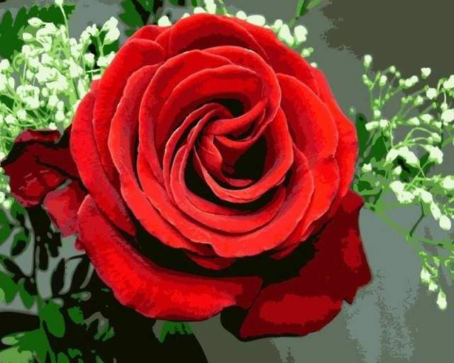 paint by numbers | Red Rose | easy flowers | FiguredArt