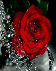 paint by numbers | Red Rose Fragrance | easy flowers | FiguredArt