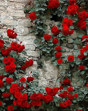 Load image into Gallery viewer, paint by numbers | Red Roses | flowers intermediate | FiguredArt