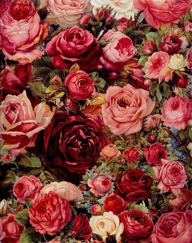 paint by numbers | Romantic Red Roses | flowers intermediate | FiguredArt