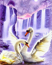Load image into Gallery viewer, paint by numbers | Romantic Swans | advanced animals birds swans | FiguredArt