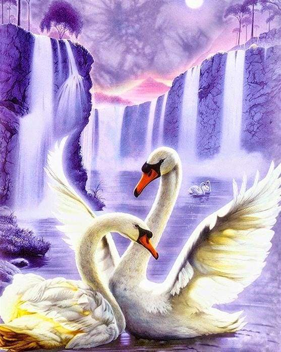 paint by numbers | Romantic Swans | advanced animals birds swans | FiguredArt