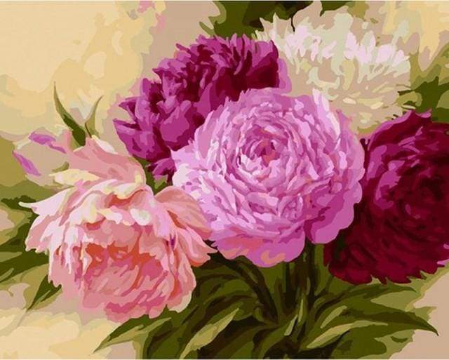 paint by numbers | Shades of Rose | flowers intermediate | FiguredArt