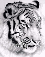 Load image into Gallery viewer, paint by numbers | Siberian Tiger | animals easy tigers | FiguredArt