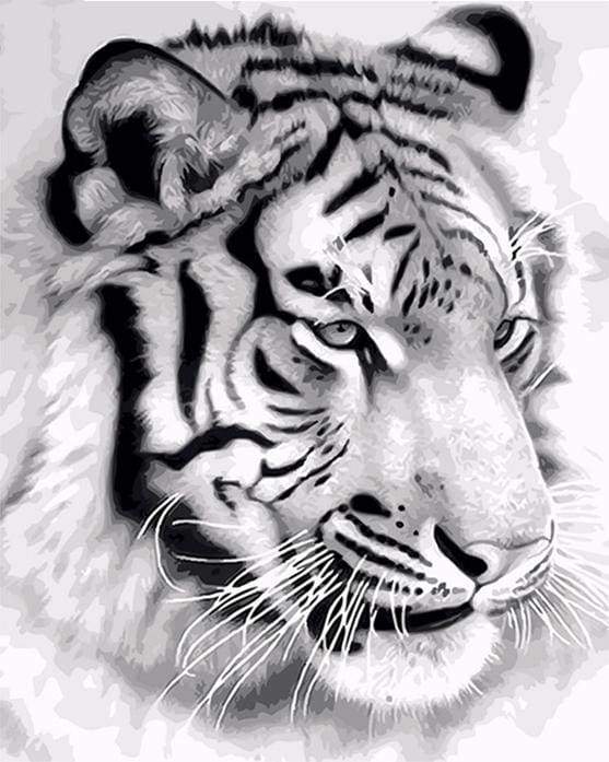 paint by numbers | Siberian Tiger | animals easy tigers | FiguredArt