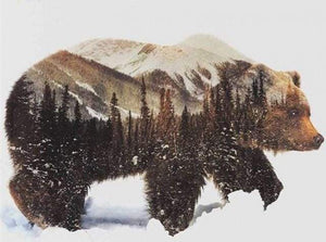 paint by numbers | Snow Landscape Bear | advanced animals bears | FiguredArt