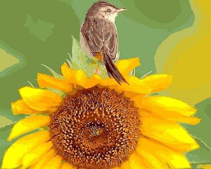 paint by numbers | Sunflower and Bird | animals birds flowers intermediate | FiguredArt