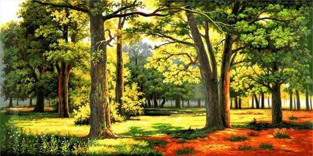 paint by numbers | Sunny Forest | advanced landscapes | FiguredArt
