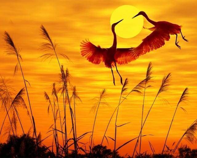 paint by numbers | Sunset Crane | animals birds cranes easy landscapes | FiguredArt