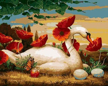 Load image into Gallery viewer, paint by numbers | Swan and Poppies | animals birds easy flowers swans | FiguredArt