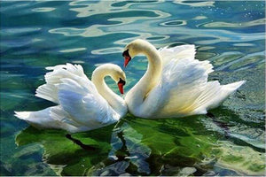 paint by numbers | Swan Couple | animals birds intermediate swans | FiguredArt