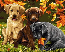 Load image into Gallery viewer, paint by numbers | Three Dogs | animals dogs intermediate | FiguredArt
