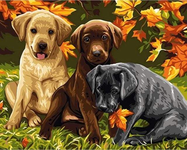paint by numbers | Three Dogs | animals dogs intermediate | FiguredArt