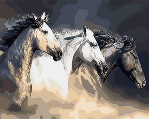 paint by numbers | Three Horses | animals easy horses | FiguredArt