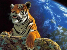 Load image into Gallery viewer, paint by numbers | Tiger and earth | animals easy tigers | FiguredArt