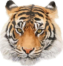 Load image into Gallery viewer, paint by numbers | Tiger head | animals easy tigers | FiguredArt