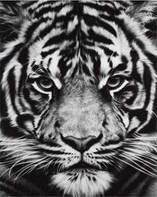 Load image into Gallery viewer, paint by numbers | Tiger Head Black And White | advanced animals tigers | FiguredArt