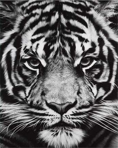 paint by numbers | Tiger Head Black And White | advanced animals tigers | FiguredArt