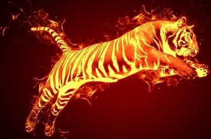 paint by numbers | Tiger in fire | animals easy tigers | FiguredArt